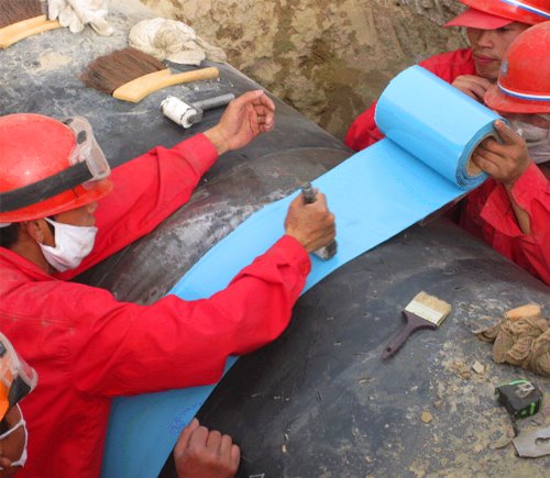 ճ���w�����z����ʩ�����E